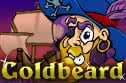 Goldbeard free slot game online