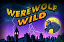 Play free Werewolf Wild slot online