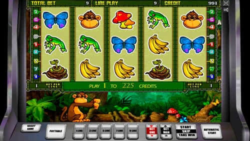 Casino Game Crazy Monkey