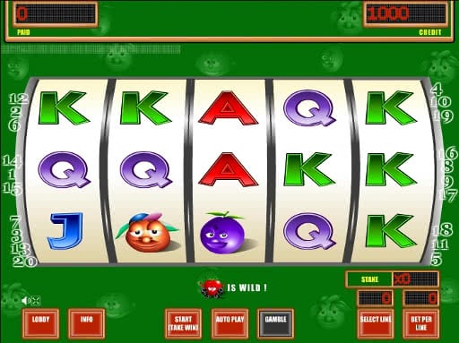 Gamble Crazy Fruits slots free machine