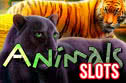 free animals slots online