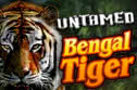 Untamed Bengal Tiger